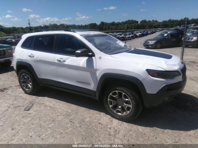 Photo 0 VIN: 1C4PJMBX5MD142162 - JEEP CHEROKEE 