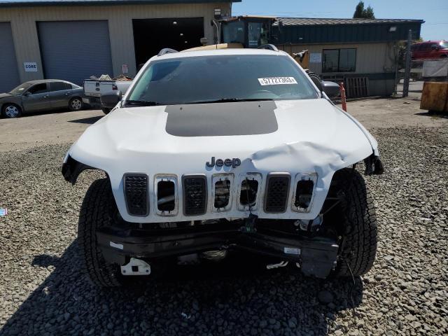 Photo 4 VIN: 1C4PJMBX5MD213554 - JEEP CHEROKEE 