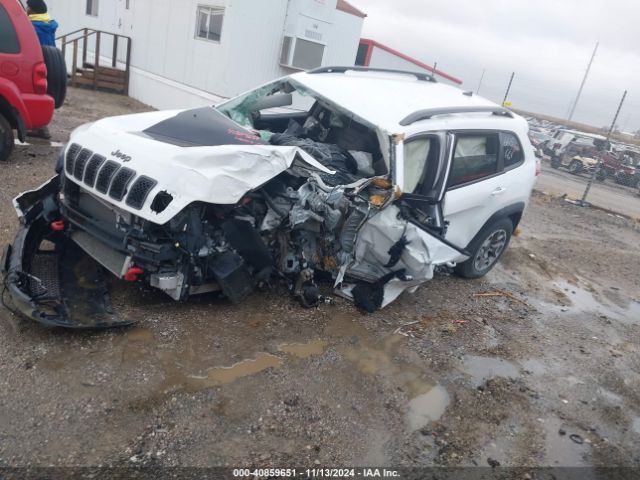 Photo 1 VIN: 1C4PJMBX6LD562639 - JEEP CHEROKEE 