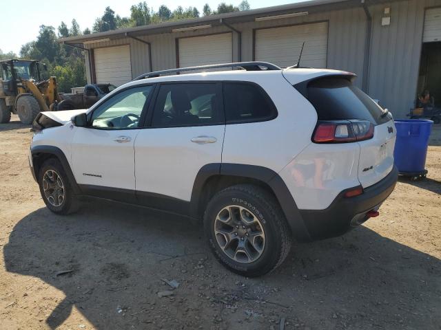 Photo 1 VIN: 1C4PJMBX9LD566300 - JEEP CHEROKEE T 