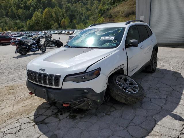 Photo 1 VIN: 1C4PJMBXXLD529031 - JEEP CHEROKEE 