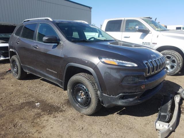 Photo 0 VIN: 1C4PJMCB1EW144645 - JEEP CHEROKEE L 