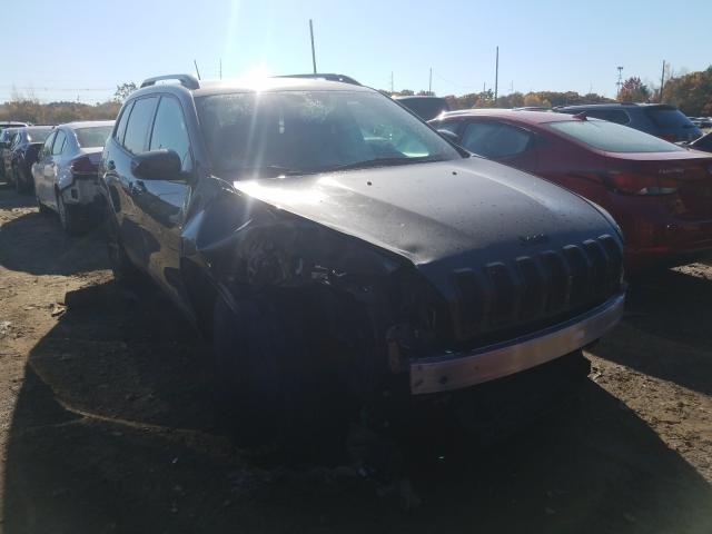 Photo 8 VIN: 1C4PJMCB2EW310090 - JEEP CHEROKEE L 