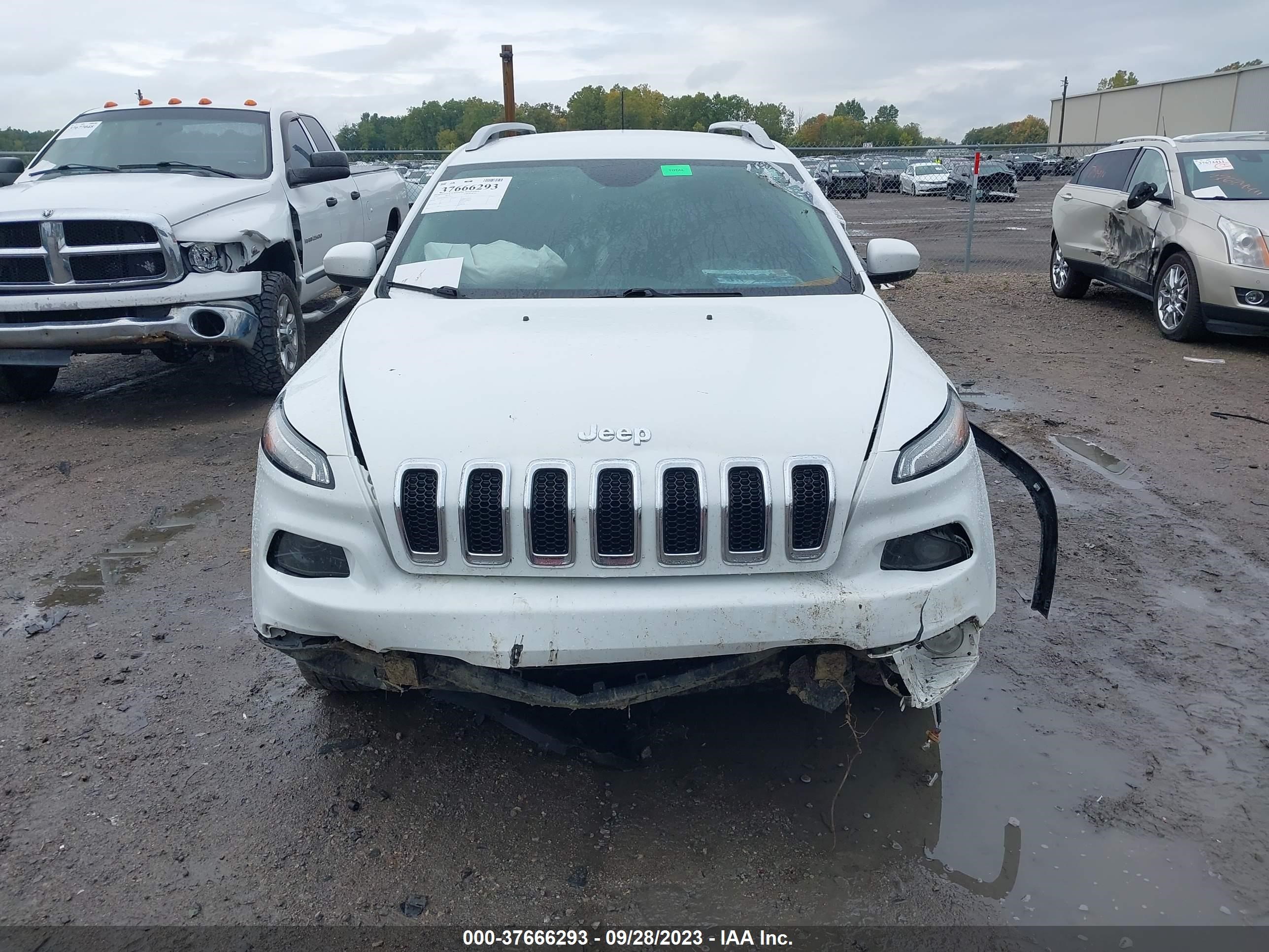 Photo 11 VIN: 1C4PJMCB8GW252957 - JEEP CHEROKEE 