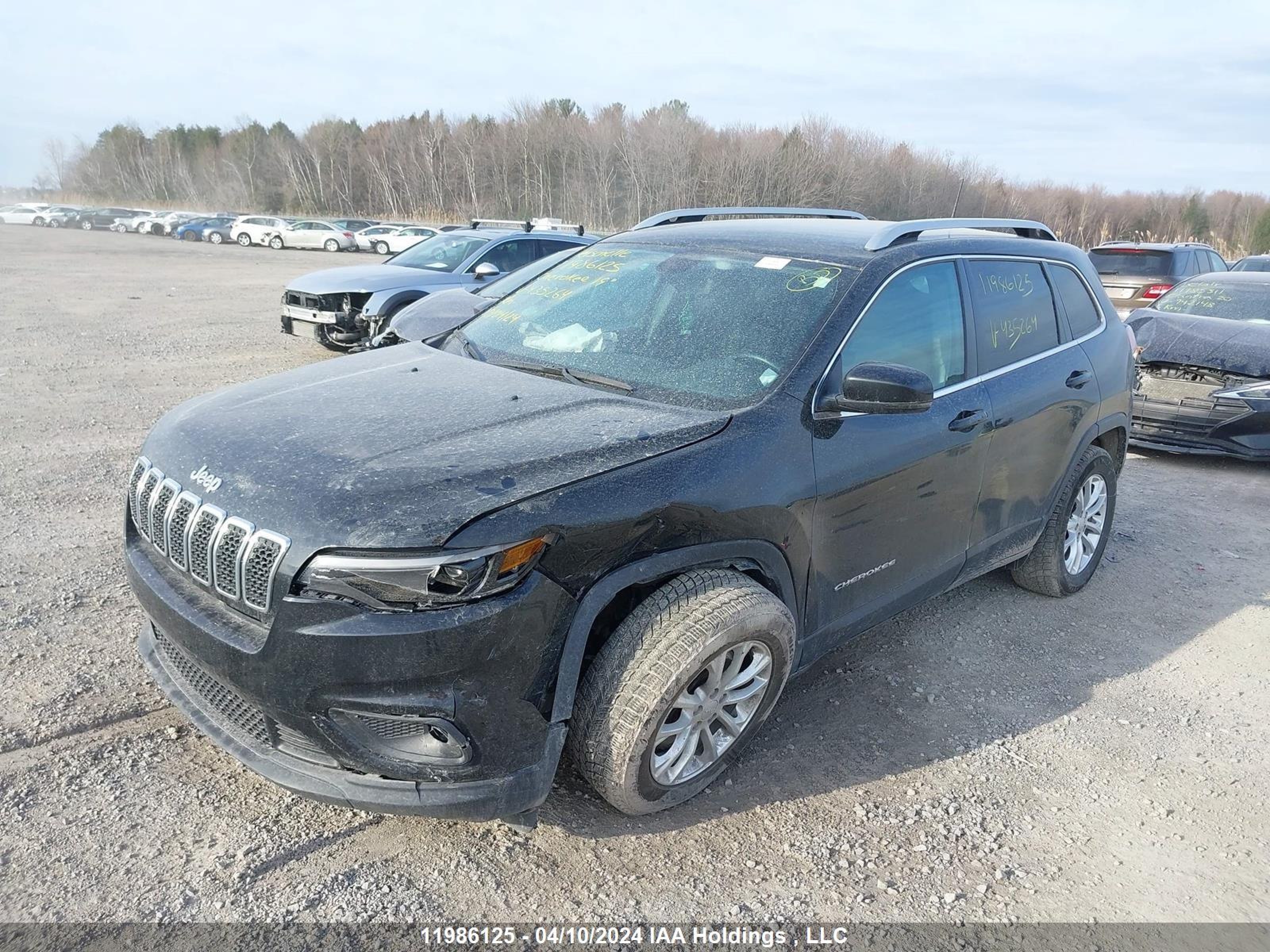 Photo 1 VIN: 1C4PJMCBXKD435264 - JEEP CHEROKEE 