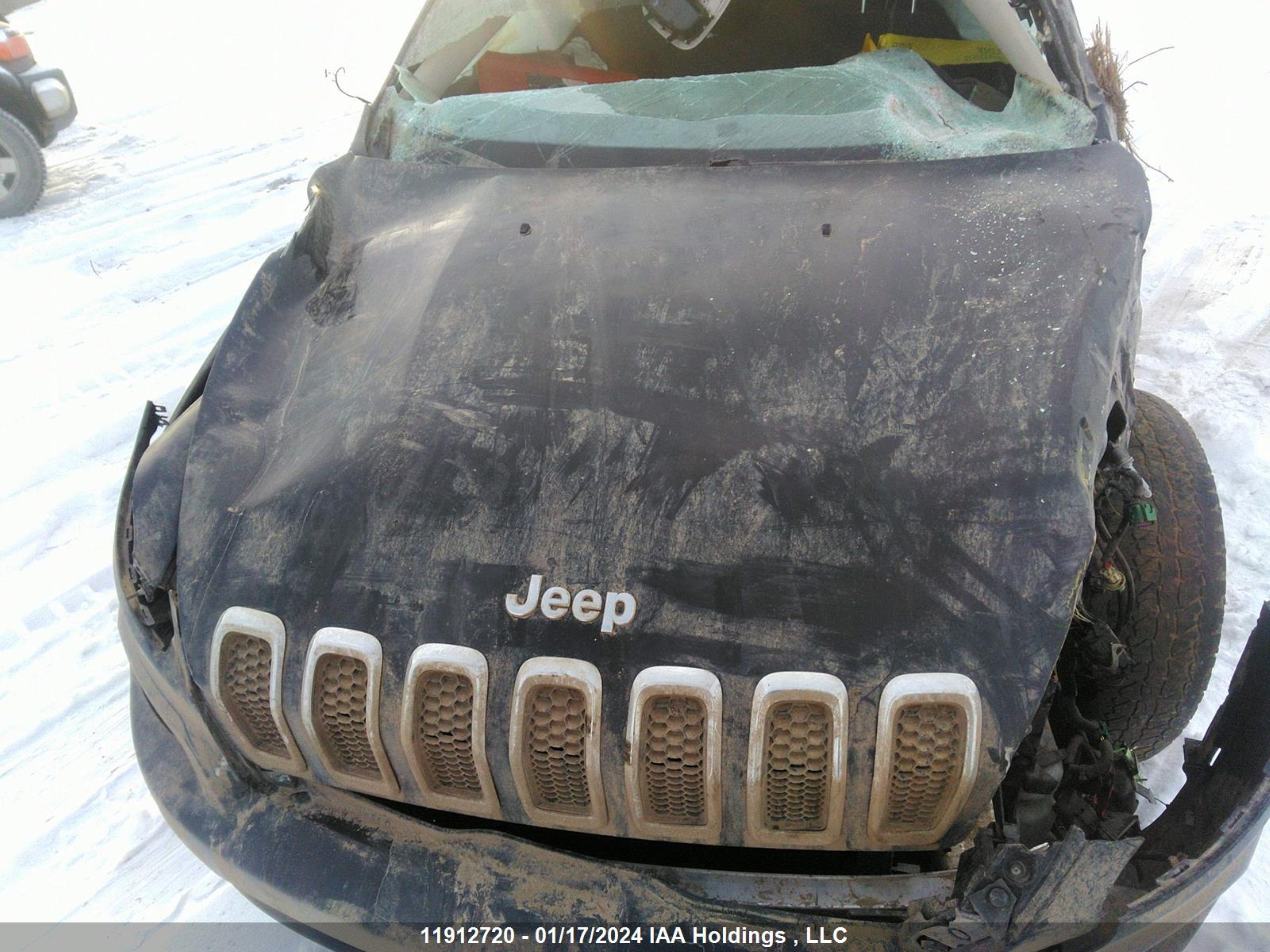 Photo 9 VIN: 1C4PJMCS6GW166031 - JEEP CHEROKEE 