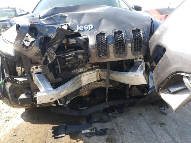 Photo 8 VIN: 1C4PJMCS6GW254545 - JEEP CHEROKEE L 