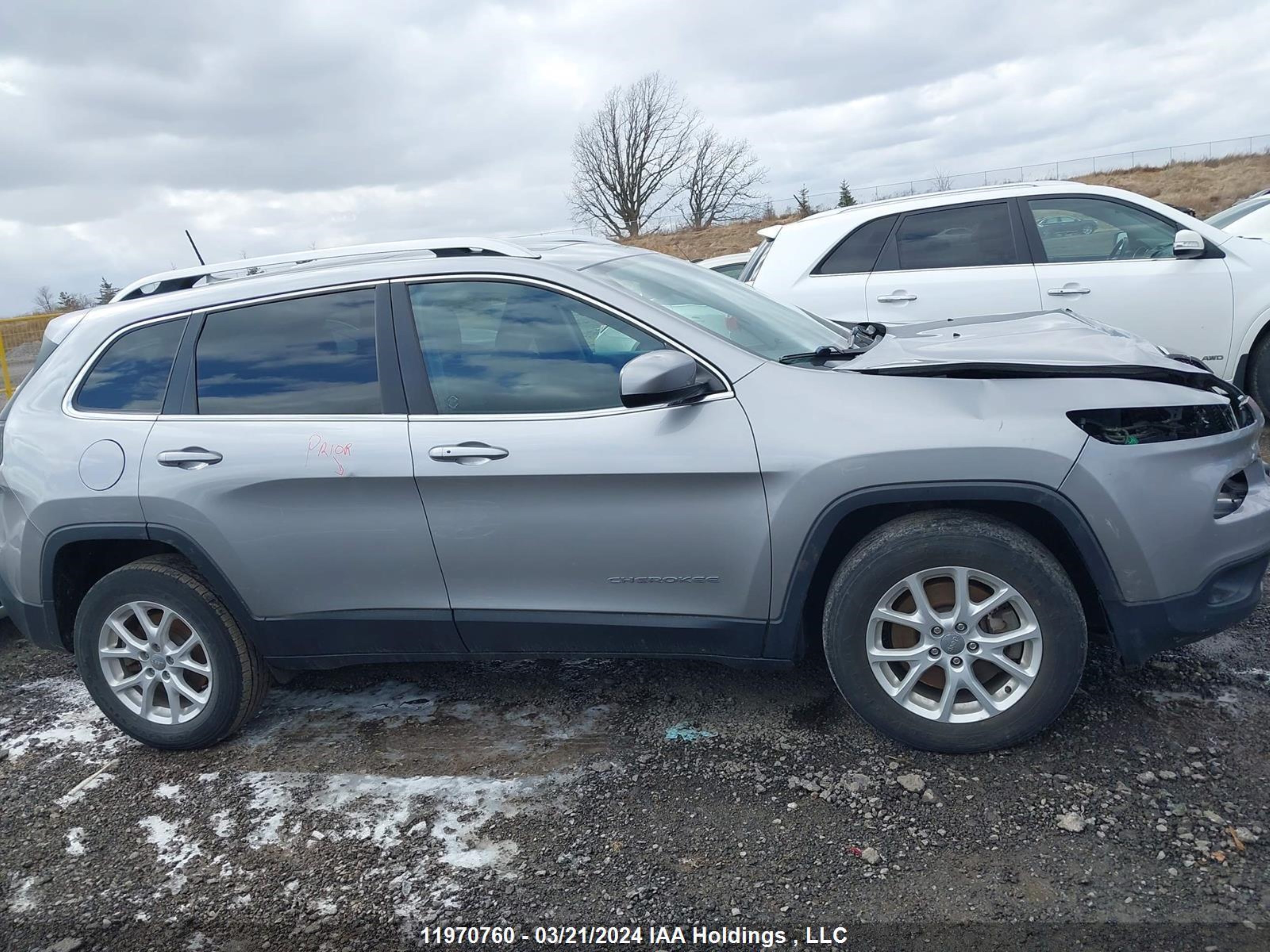 Photo 12 VIN: 1C4PJMCS7GW337224 - JEEP CHEROKEE 