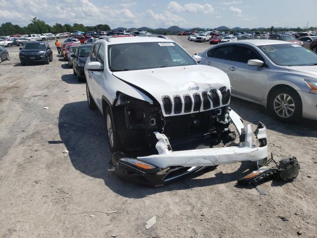 Photo 0 VIN: 1C4PJMDB0GW295641 - JEEP CHEROKEE 