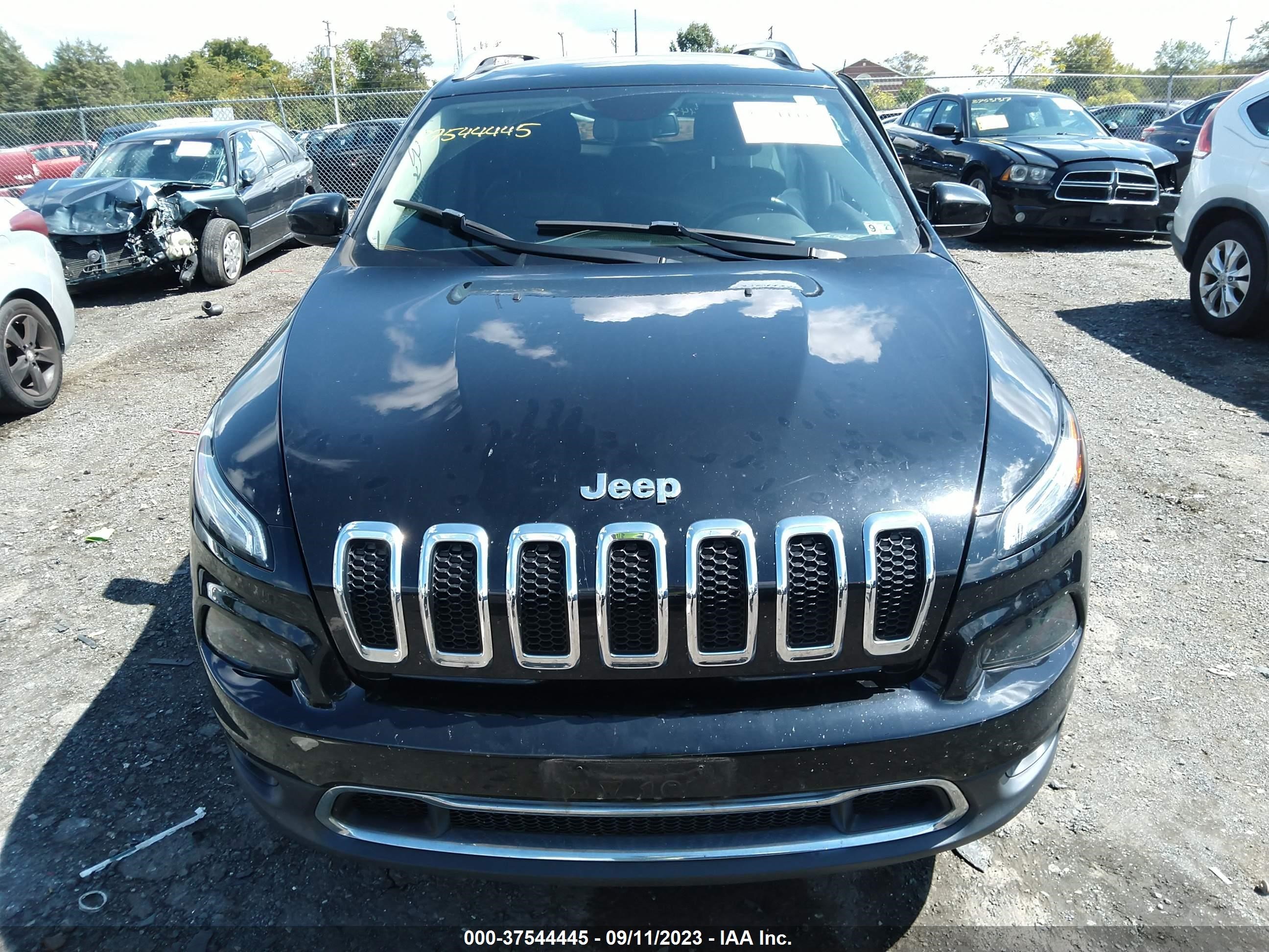 Photo 11 VIN: 1C4PJMDB0JD535404 - JEEP CHEROKEE 