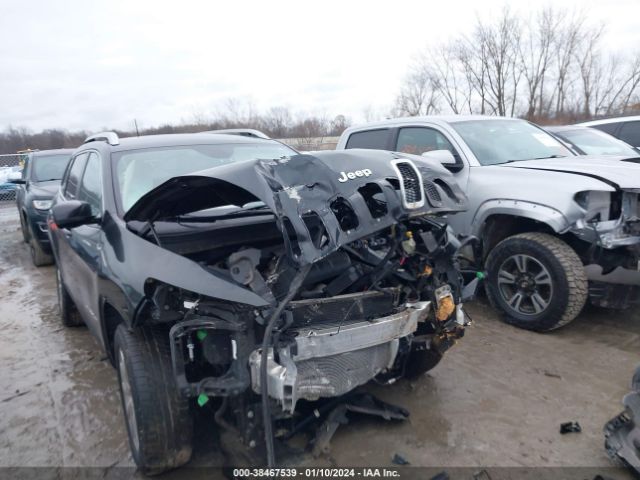 Photo 5 VIN: 1C4PJMDB1GW334768 - JEEP CHEROKEE 