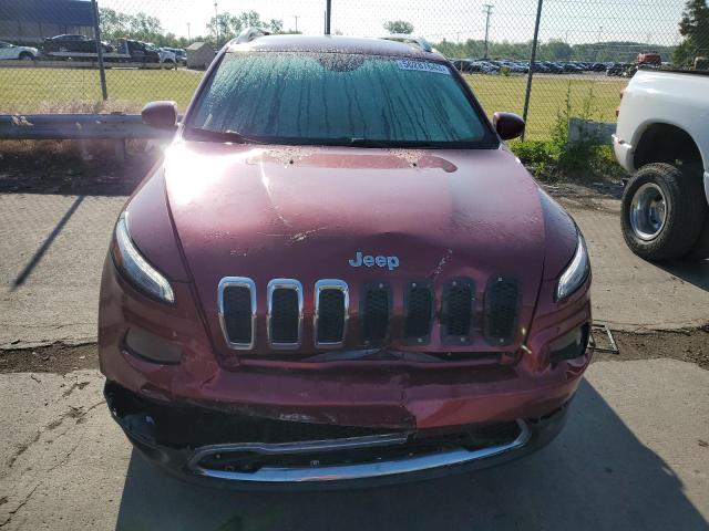 Photo 4 VIN: 1C4PJMDB3GW124382 - JEEP CHEROKEE L 