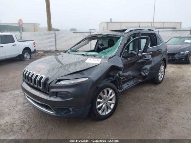 Photo 1 VIN: 1C4PJMDB3GW206225 - JEEP CHEROKEE 