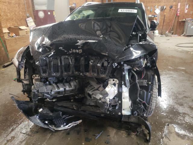 Photo 8 VIN: 1C4PJMDB4HW518961 - JEEP CHEROKEE L 