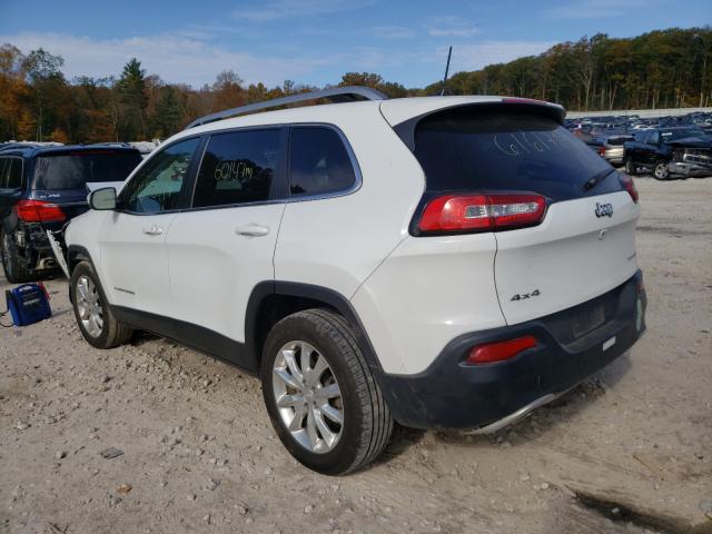 Photo 2 VIN: 1C4PJMDB5HW668707 - JEEP CHEROKEE 