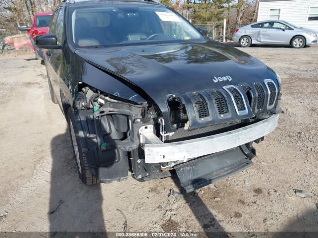 Photo 5 VIN: 1C4PJMDB6GW262336 - JEEP CHEROKEE 