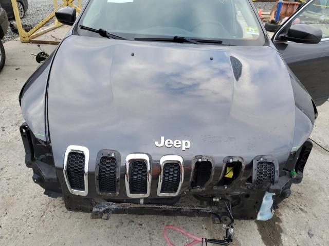 Photo 11 VIN: 1C4PJMDB7GW249210 - JEEP CHEROKEE L 