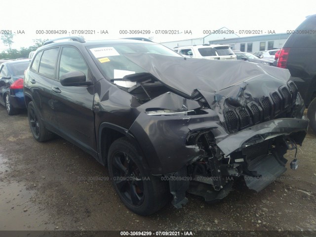 Photo 0 VIN: 1C4PJMDB7GW361473 - JEEP CHEROKEE 