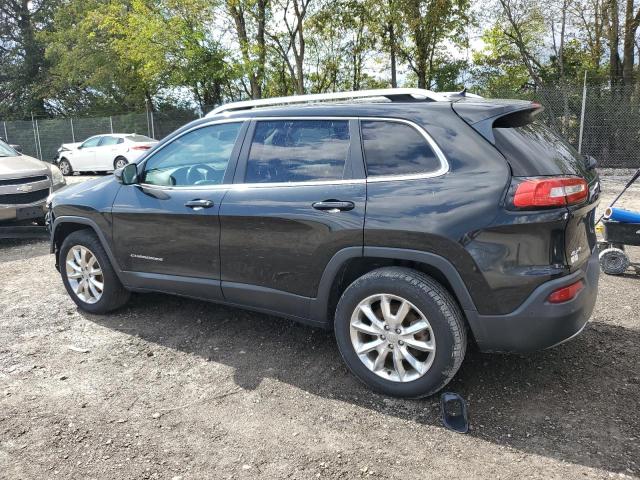 Photo 1 VIN: 1C4PJMDB9EW165757 - JEEP CHEROKEE L 