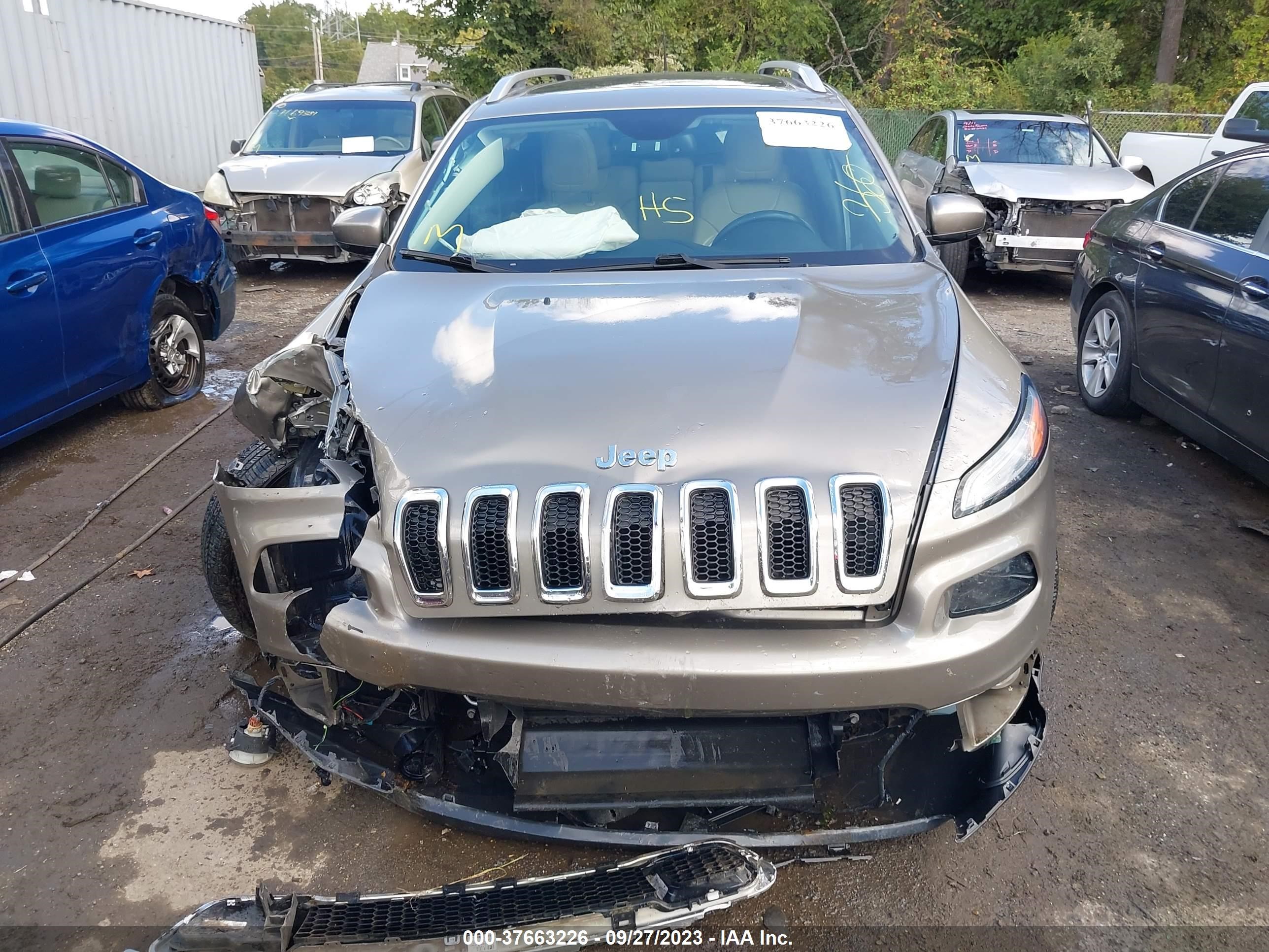 Photo 12 VIN: 1C4PJMDB9GW373074 - JEEP CHEROKEE 