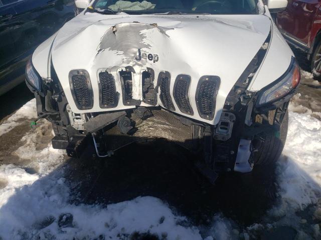 Photo 8 VIN: 1C4PJMDS3GW142445 - JEEP CHEROKEE L 