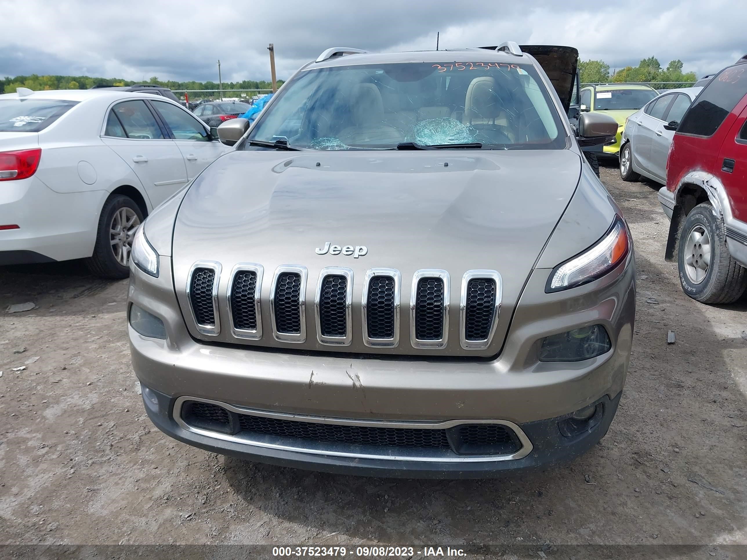 Photo 11 VIN: 1C4PJMDS3HW594171 - JEEP CHEROKEE 