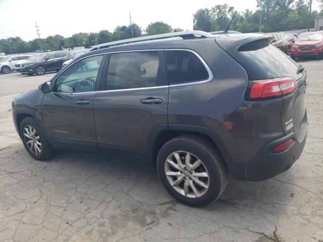 Photo 1 VIN: 1C4PJMDS6EW257974 - JEEP CHEROKEE L 