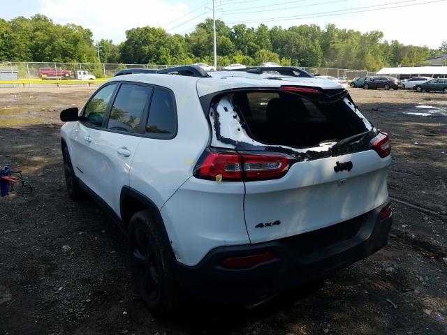 Photo 2 VIN: 1C4PJMDS6GW309770 - JEEP CHEROKEE 