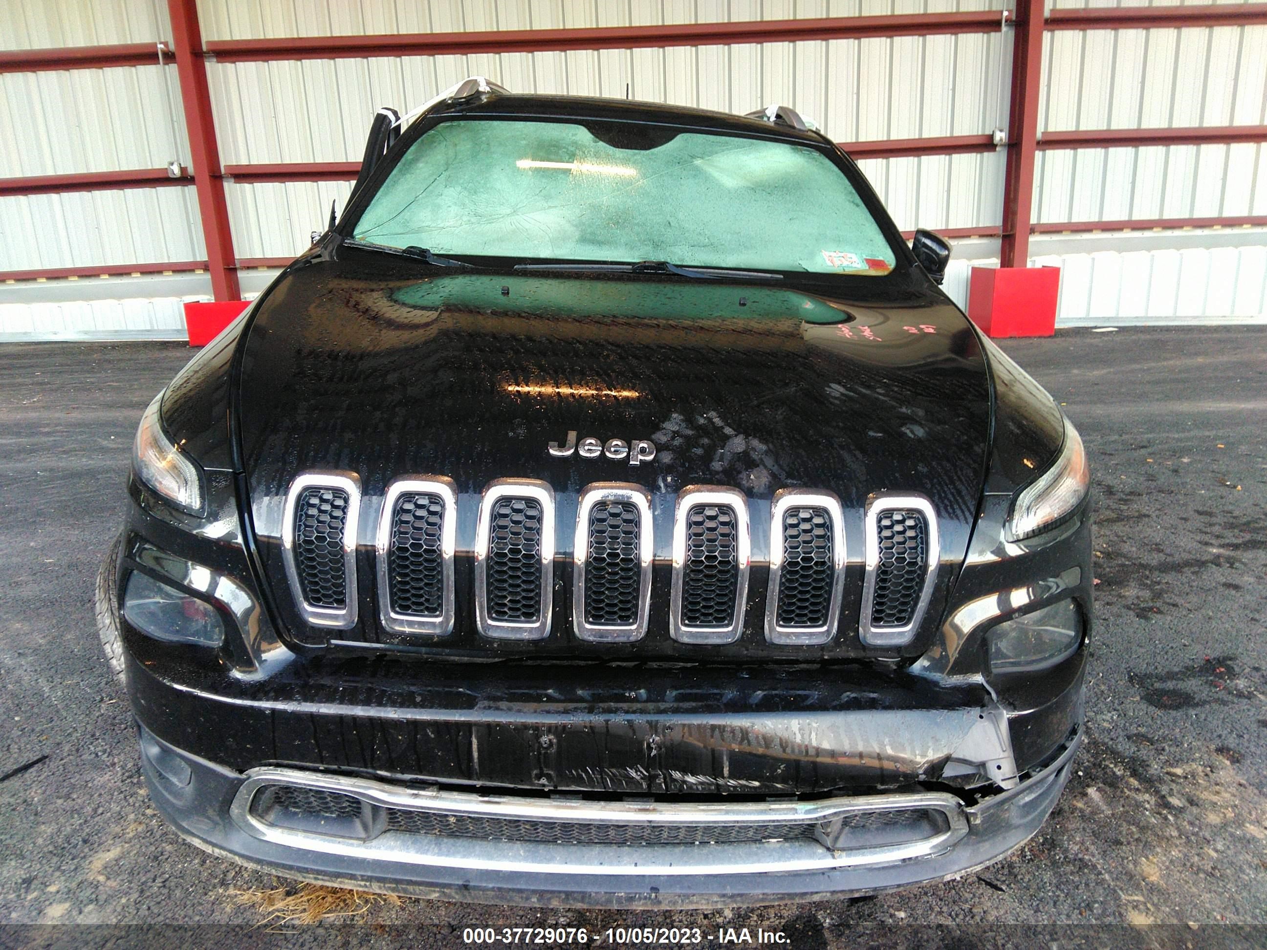 Photo 11 VIN: 1C4PJMDS8GW155532 - JEEP CHEROKEE 