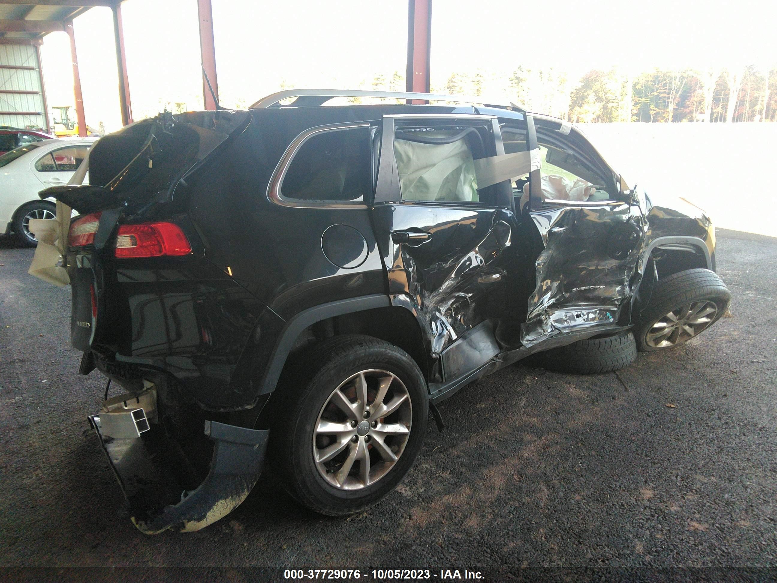 Photo 3 VIN: 1C4PJMDS8GW155532 - JEEP CHEROKEE 