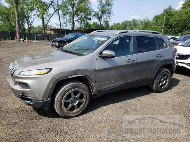 Photo 0 VIN: 1C4PJMDS8GW352572 - JEEP CHEROKEE 