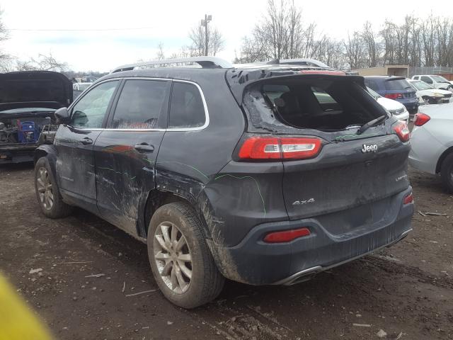 Photo 2 VIN: 1C4PJMDSXGW124282 - JEEP CHEROKEE L 