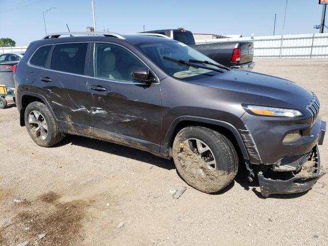 Photo 3 VIN: 1C4PJMDSXGW227315 - JEEP GRAND CHEROKEE 