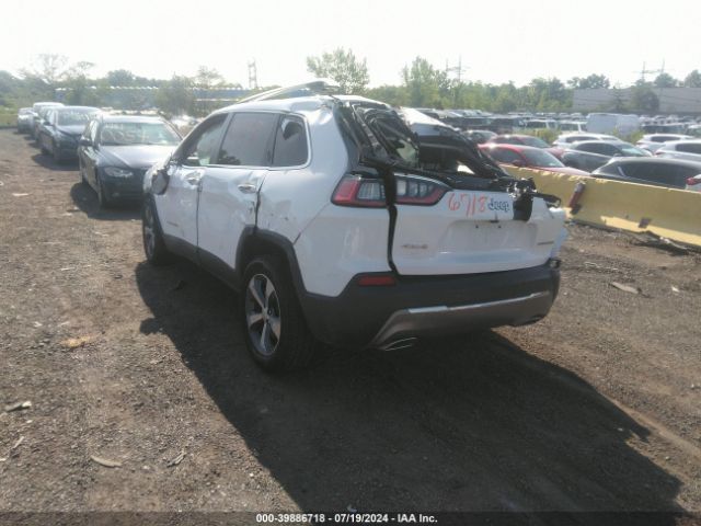 Photo 2 VIN: 1C4PJMDX0LD566618 - JEEP CHEROKEE 