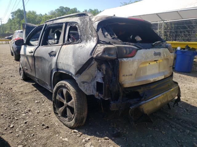 Photo 2 VIN: 1C4PJMDX1KD303598 - JEEP CHEROKEE L 