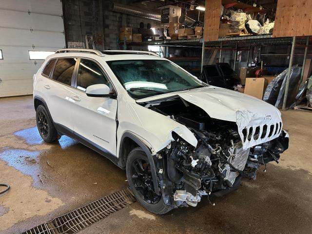 Photo 1 VIN: 1C4PJMDX1MD143676 - JEEP GRAND CHEROKEE 