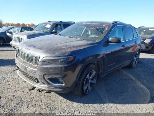 Photo 1 VIN: 1C4PJMDX2LD566555 - JEEP CHEROKEE 