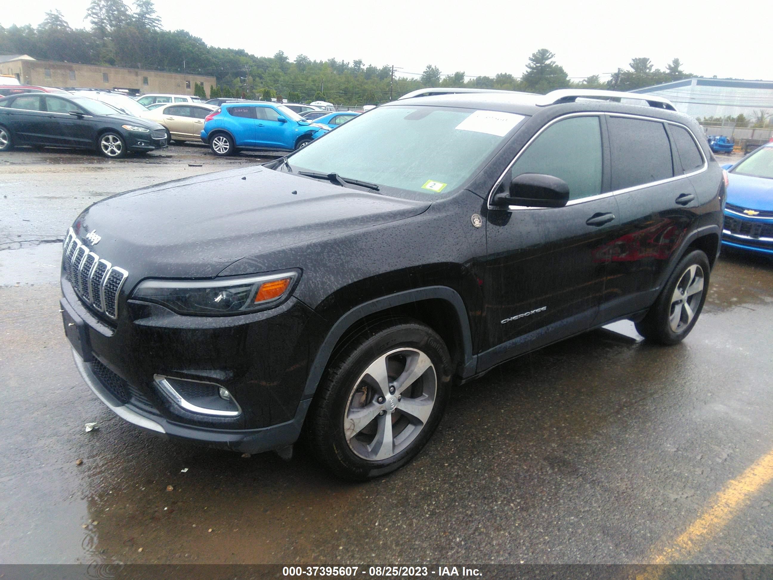 Photo 1 VIN: 1C4PJMDX2LD602910 - JEEP CHEROKEE 