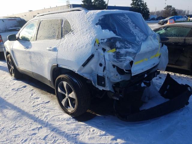 Photo 2 VIN: 1C4PJMDX5LD509766 - JEEP CHEROKEE L 