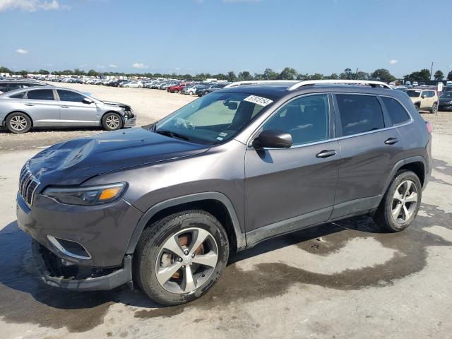 Photo 0 VIN: 1C4PJMDX6LD602585 - JEEP CHEROKEE L 