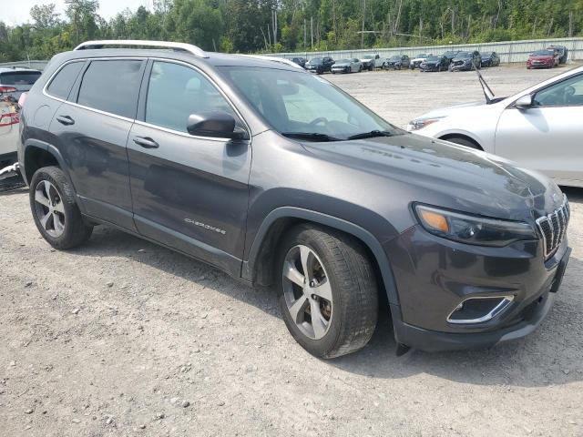 Photo 3 VIN: 1C4PJMDXXKD481221 - JEEP CHEROKEE L 