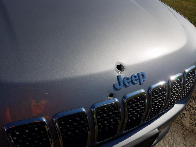 Photo 8 VIN: 1C4PJMLB9LD611934 - JEEP CHEROKEE L 