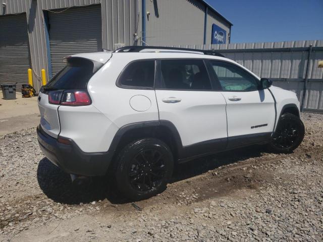 Photo 2 VIN: 1C4PJMMB2PD115572 - JEEP CHEROKEE A 