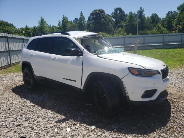 Photo 3 VIN: 1C4PJMMB2PD115572 - JEEP CHEROKEE A 