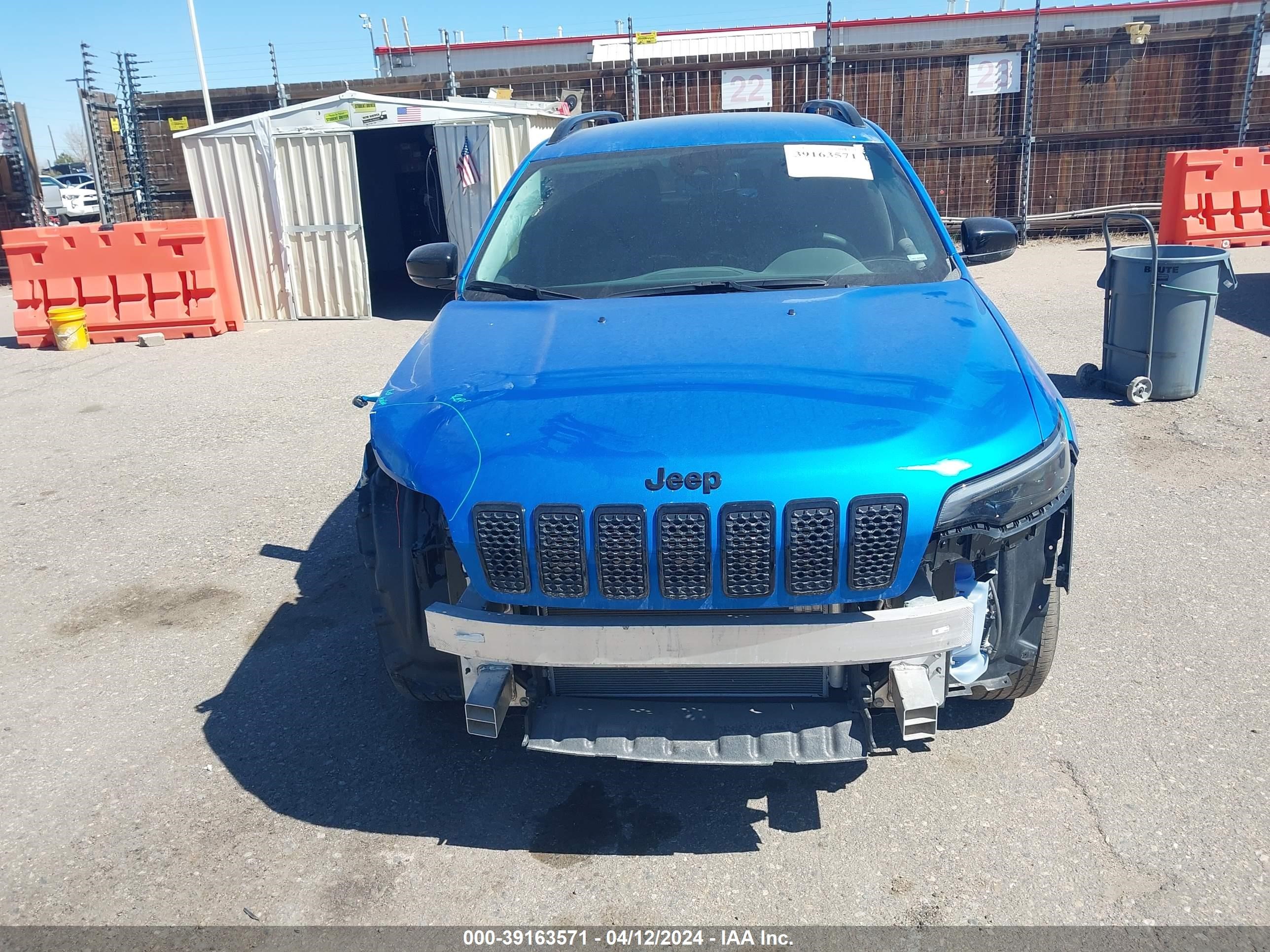 Photo 11 VIN: 1C4PJMMB5PD112343 - JEEP CHEROKEE 