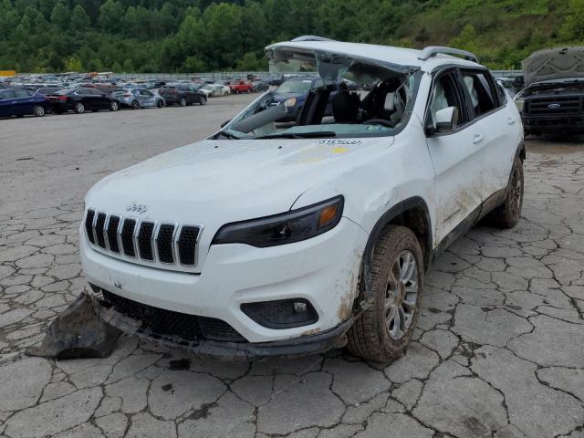 Photo 1 VIN: 1C4PJMMN5MD123302 - JEEP CHEROKEE L 