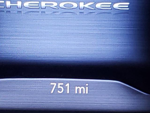 Photo 7 VIN: 1C4PJMMX4MD135314 - JEEP CHEROKEE L 