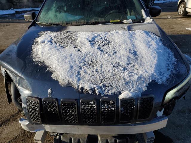 Photo 10 VIN: 1C4PJMMX7MD135310 - JEEP CHEROKEE L 