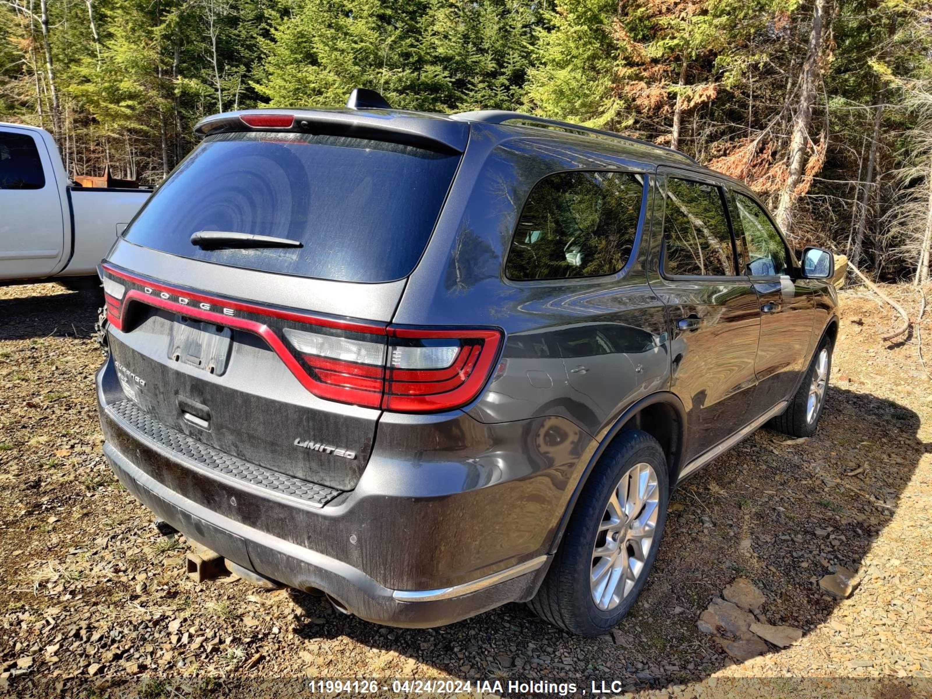 Photo 4 VIN: 1C4RDJDG7GC374655 - DODGE DURANGO 