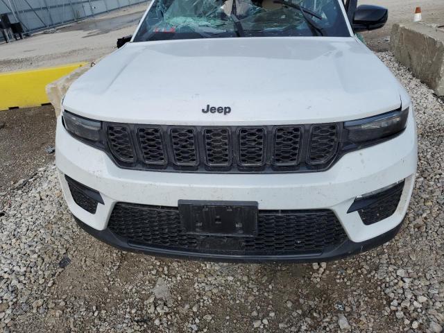 Photo 11 VIN: 1C4RJHBG0PC516994 - JEEP GRAND CHEROKEE 